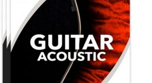 Sonex Audio Acoustic Guitars KONTAKT